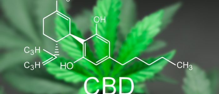 Benefits Offered By CBD Edibles